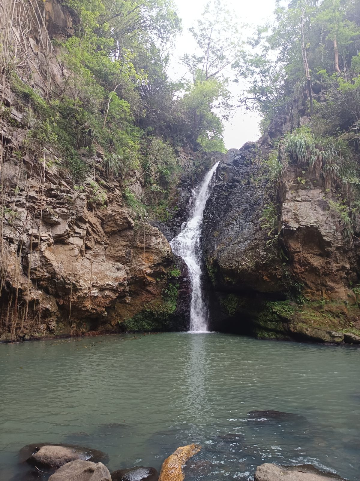 Cascade Kalinago