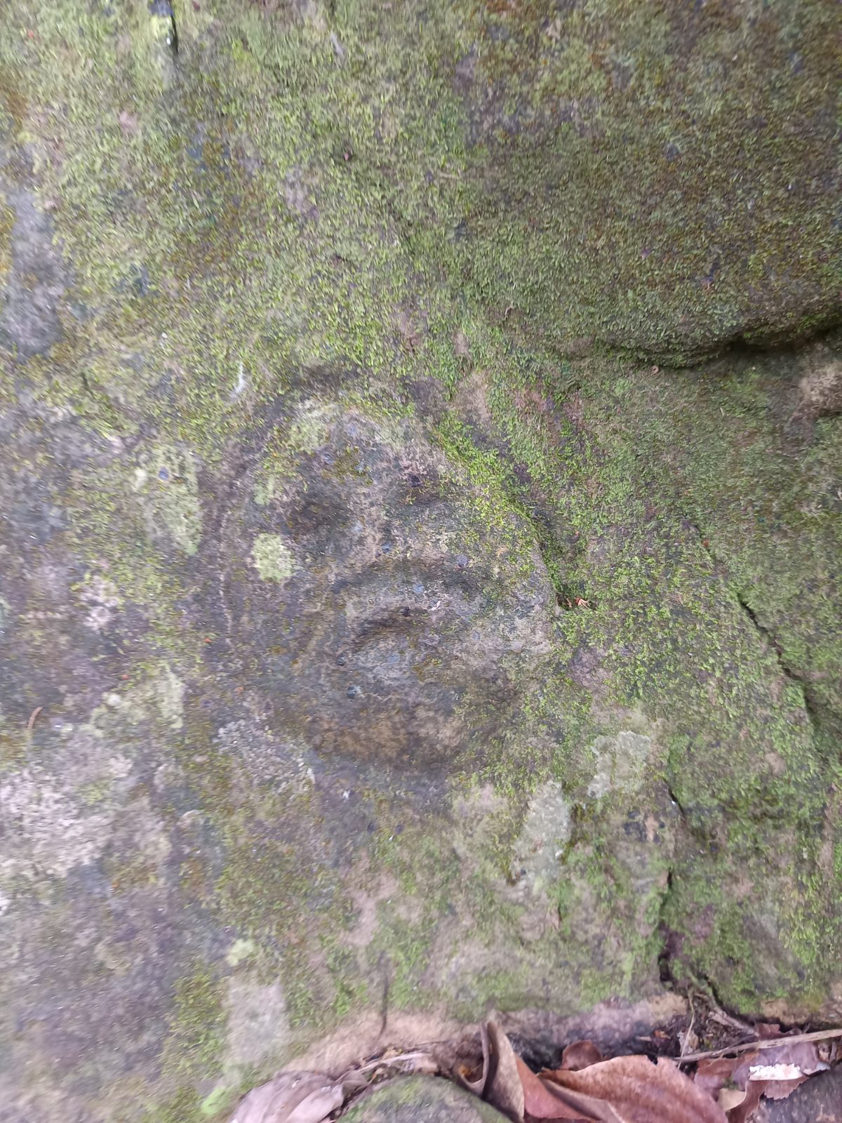 Roche Gravée