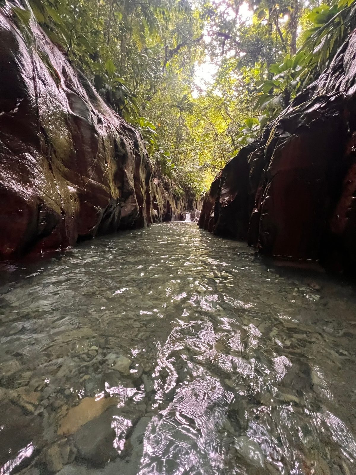 Canyon Moustique